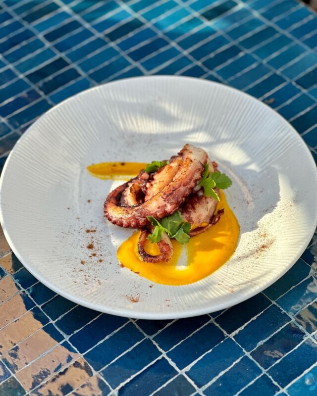 We are looking forward to seeing you at Sentho Roma from Monday to Saturday from 19:00 to 22:30 in our restaurant with lots of new dishes to try!
.
Vi aspettiamo da Sentho Roma dal Lunedì al Sabato dalle 19:00 alle 22:30 nel nostro ristorante con tante novità da provare!
.
.
#senthoroma #luxuryhostel #roma #italy #travel #explorepage