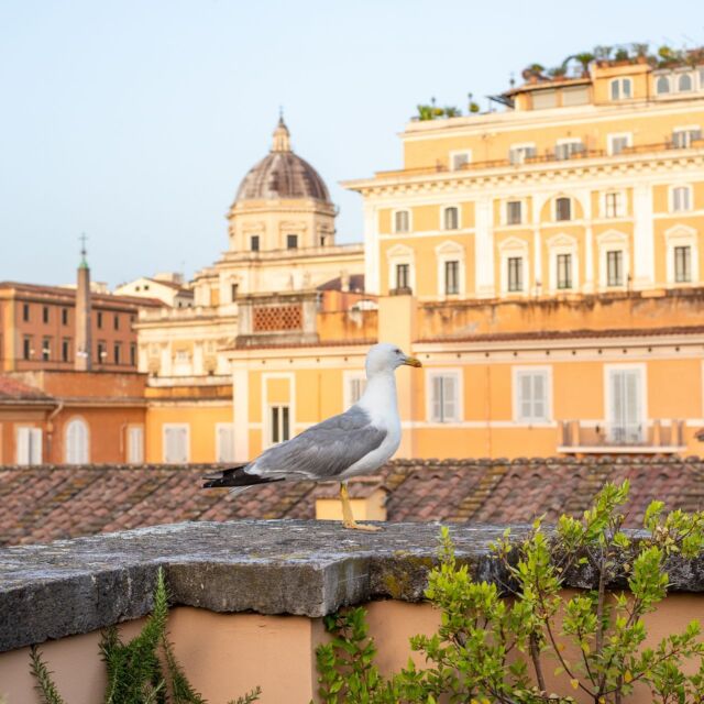 Sign up for our newsletter to stay up to date with all the news and the events we organise 📰
See you with the Sentho Club on Friday from 7pm to 11pm
.
Iscrivetevi alla nostra newsletter per rimanere aggiornati su tutte le novità e gli eventi che organizziamo 📰
Ci vediamo con il Sentho Club Venerdì dalle 19 alle 23
.
.
Photo by @alessandrophelici 
#senthoroma #roma #luxuryhostel #travel #events #senthoclub